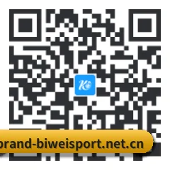 iPhone 与 iPad 专享端 二维码